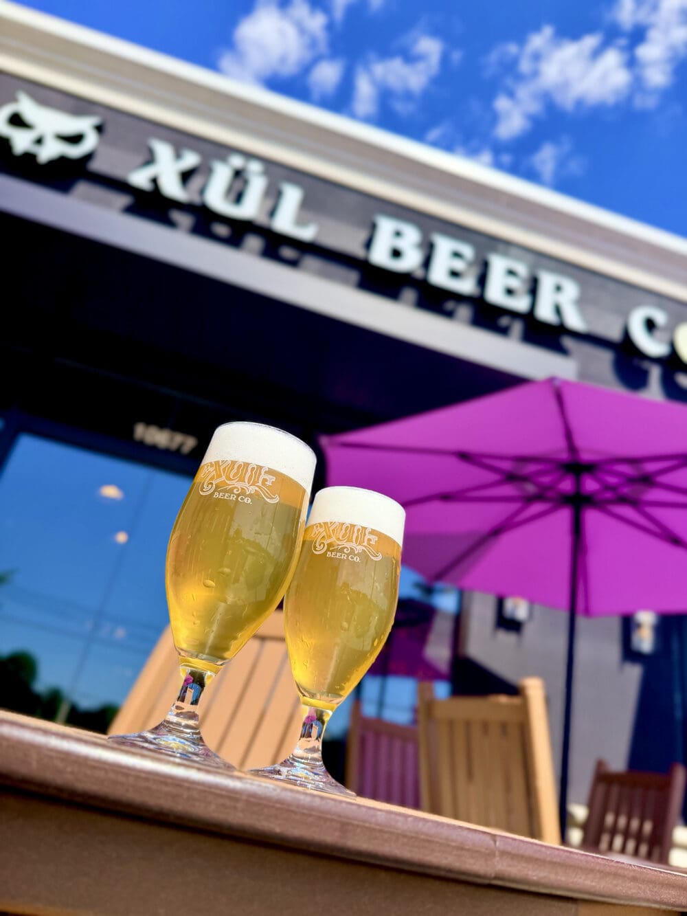 This image is by Xul Beer Company.