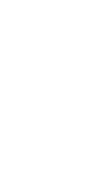 This image is by Xul Beer Company.